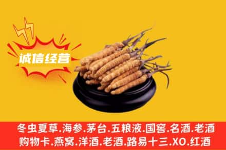 石家庄深泽县回收冬虫夏草